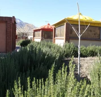 Kashan-Khorshid-ardehal