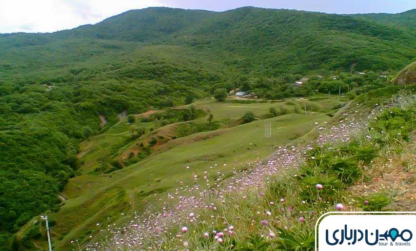 روستای افجه