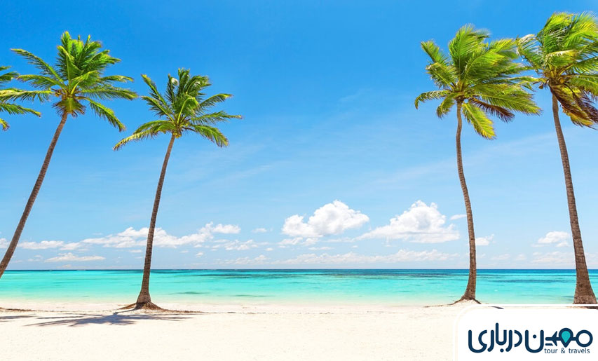 ساحل درختان نارگیل، چشم‌اندازی رویایی از مناطق استوایی