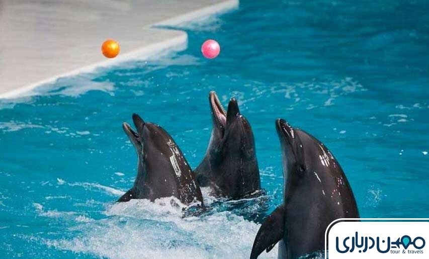 فاصله هتل داریوش تا جاذبه‌های تفریحی و گردشگری