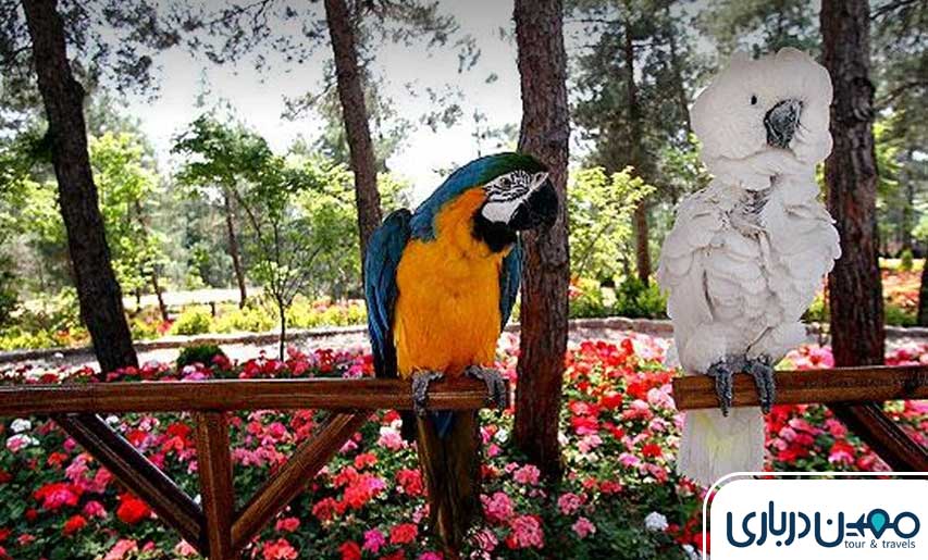 باغ پرندگان تهران