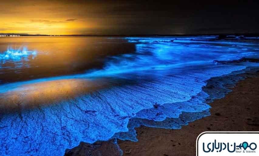 جزیره هنگام؛ جزیره‌ای کوچک اما بکر و دیدنی