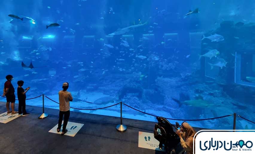 کشتی آکواریوم کیش