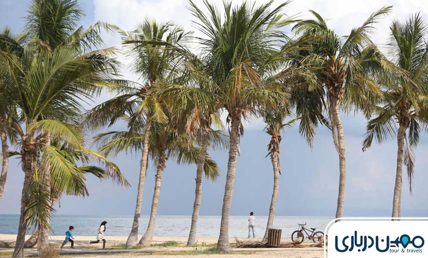 ساحل درختان نارگیل کیش؛ جزیره زیر سایه درختان نارگیل