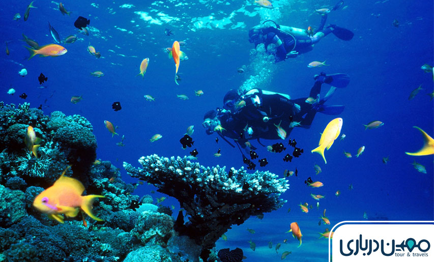 ساحل مرجانی کیش؛ تماشای دنیای زیر آب بدون غواصی