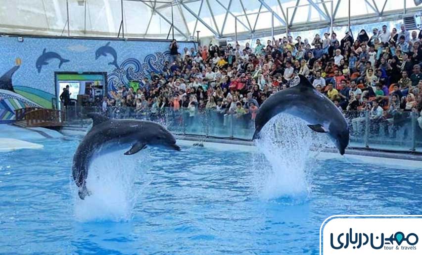 دلفیناریوم کیش