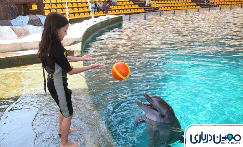 دلفیناریوم کیش؛ بازی با دلفین ها