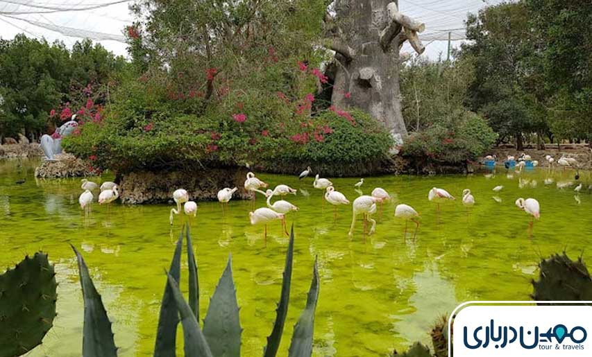 باغ راه ایرانی کیش