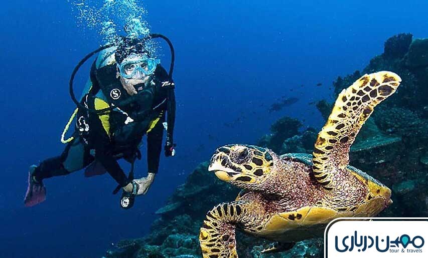 جاهای لاکچری کیش