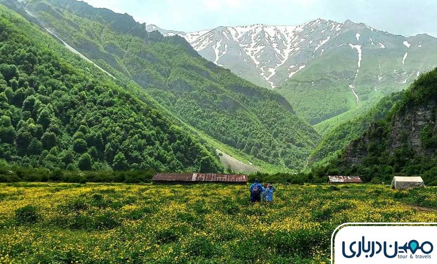 تنکابن؛ مروارید مازندران جایگاه جنگل‌های دو هزار و سه هزار