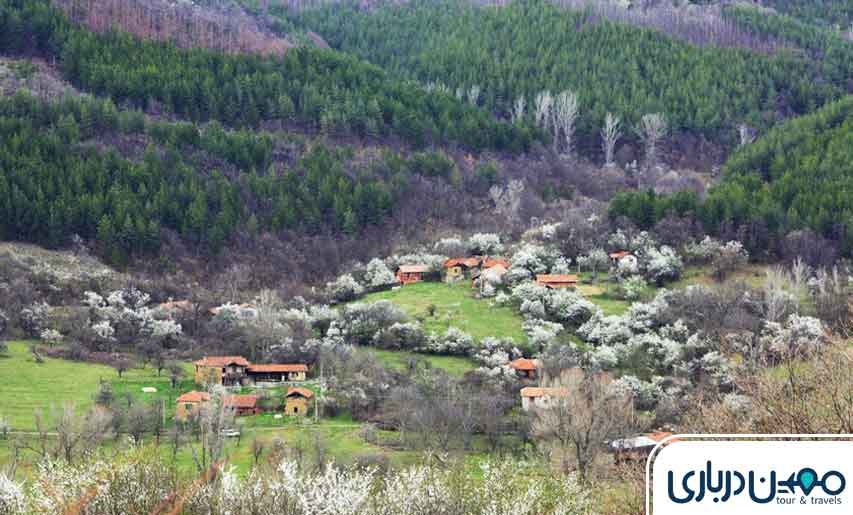 روستای برغان