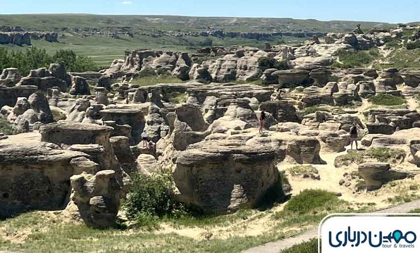 Bustan chest waist acceptable