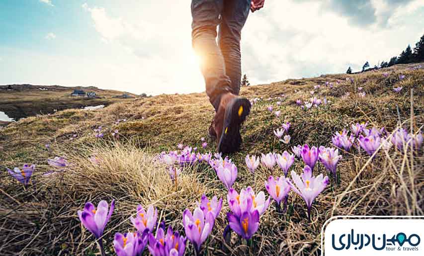 کوهنوردی در دشت ارغوان مشهد