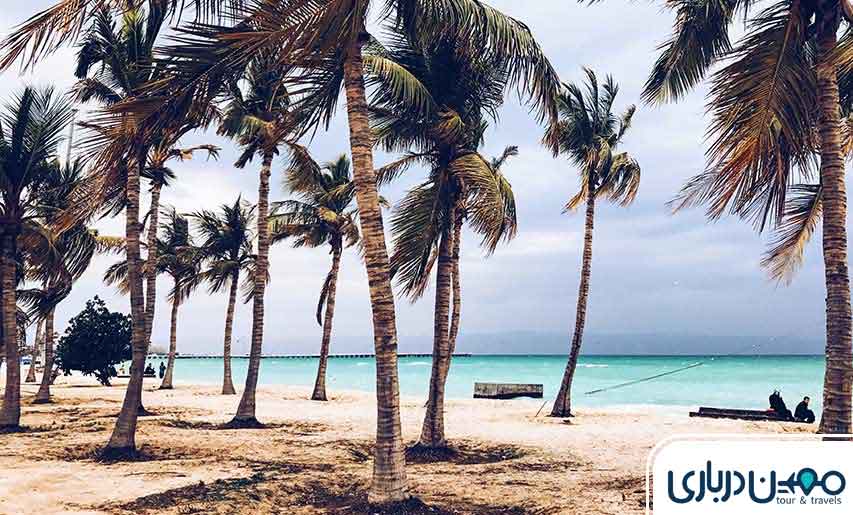 معرفی ساحل درختان نارگیل کیش