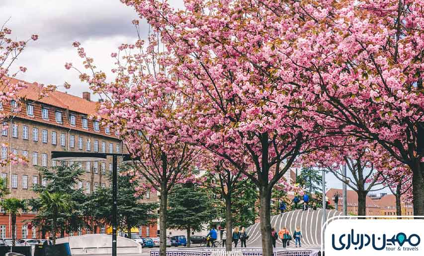 آب و هوای مشهد در بهار