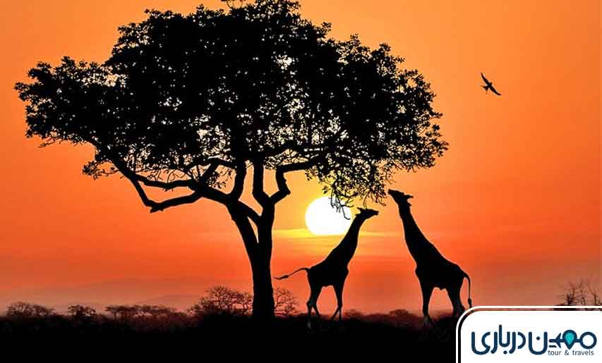آفریقای جنوبی؛ گردشگری متفاوت در سرزمین زیبایی‌های وحشی و تاریخی