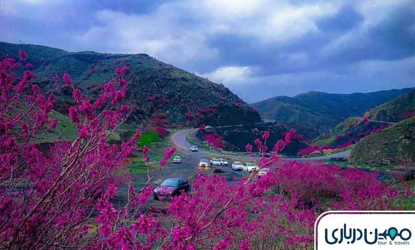 علت نام‌گذاری دشت ارغوان مشهد