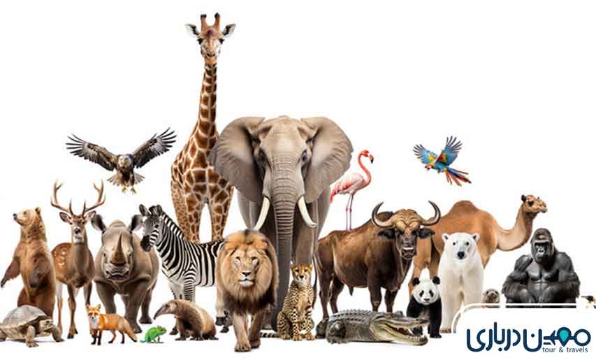 باغ وحش پارک وکیل آباد