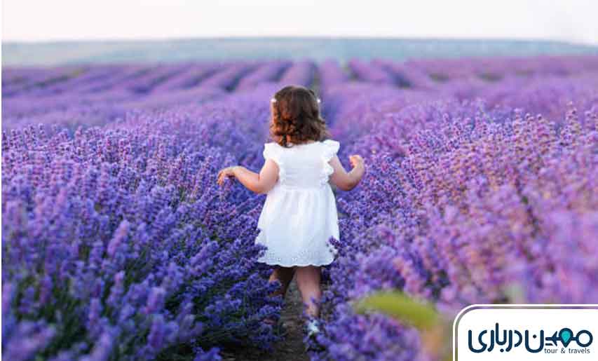 پیاده‌روی و گشت‌وگذار