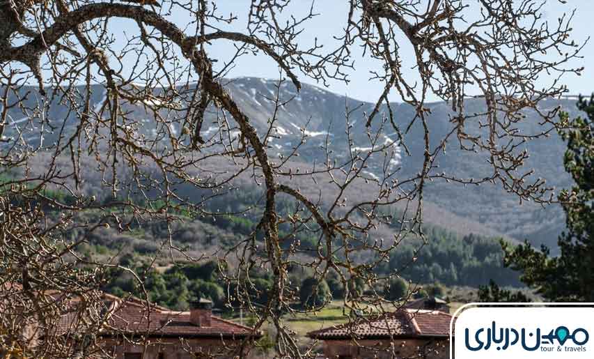 روستای زرین‌دشت