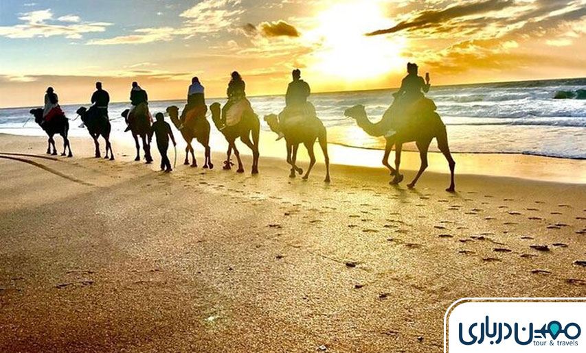 شتر سواری و اسب سواری در نزدیکی کشتی یونانی