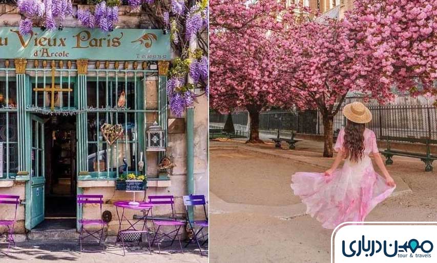  فرانسه: بهاری با عطر شکوفه‌های پاریس
