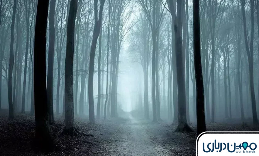تاریخچه جنگل جیغ مشهد