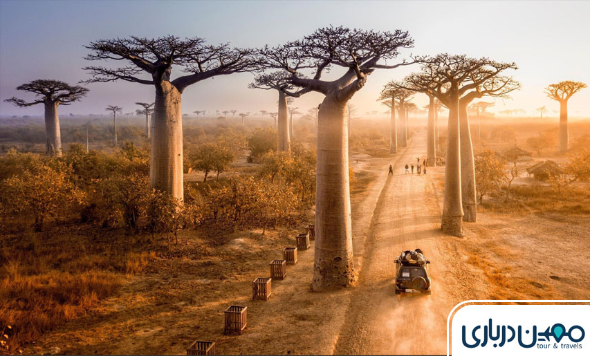 ماداگاسکار: سفر به دنیای ناشناخته