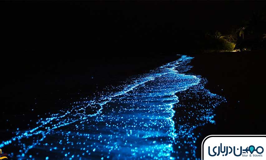 ساحل فیتوپلانکتون؛ رویایی‌ترین جای دیدنی قشم