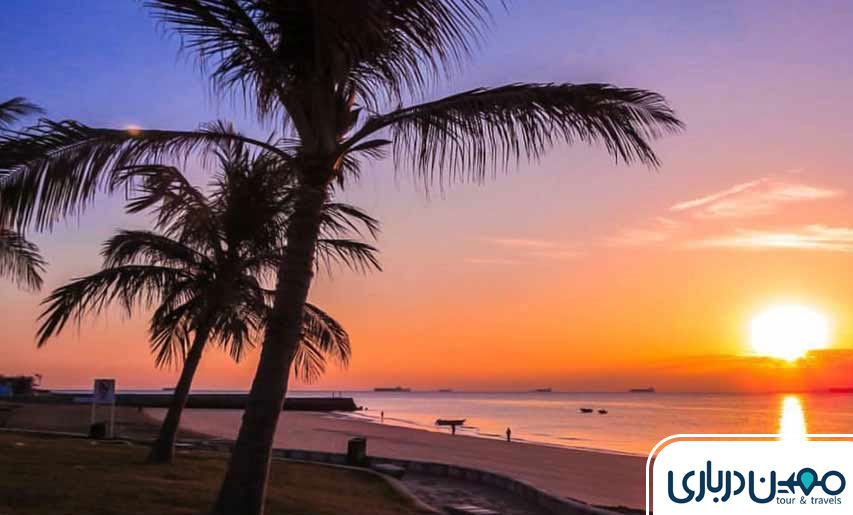 پارک زیتون قشم؛ جایی برای آرامش و هیجان