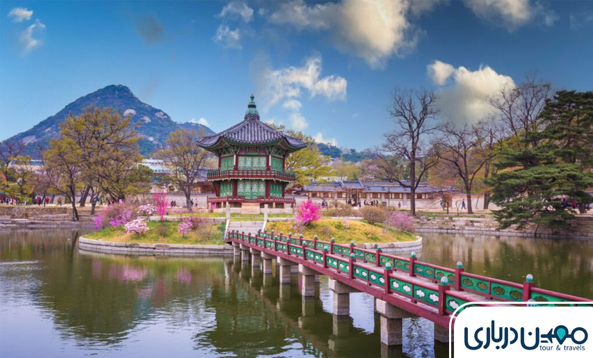  کره جنوبی: کشور شکوفه های گیلاس