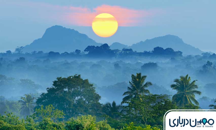 سریلانکا: بهاری استوایی در سرزمین چای و طبیعت