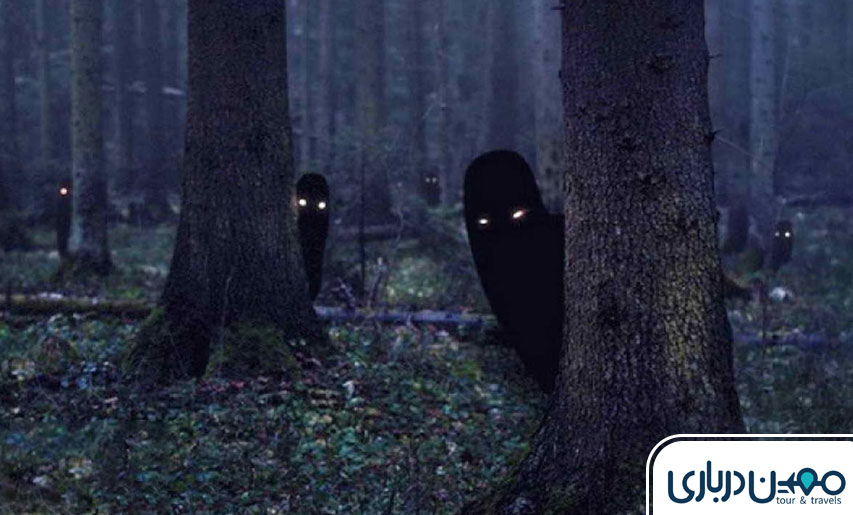 راز جنگل جیغ مشهد