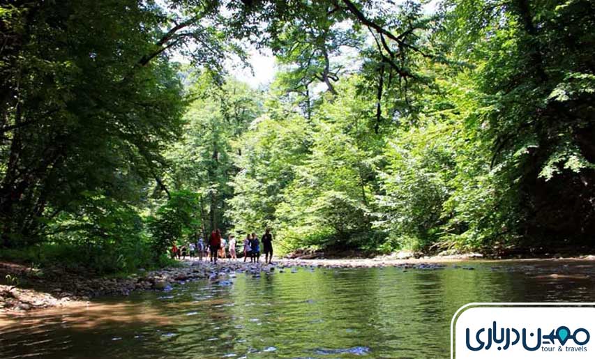 پوشش گیاهی جنگل جیغ مشهد