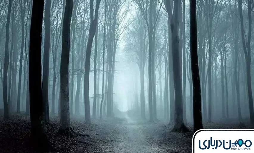 جنگل جیغ مشهد