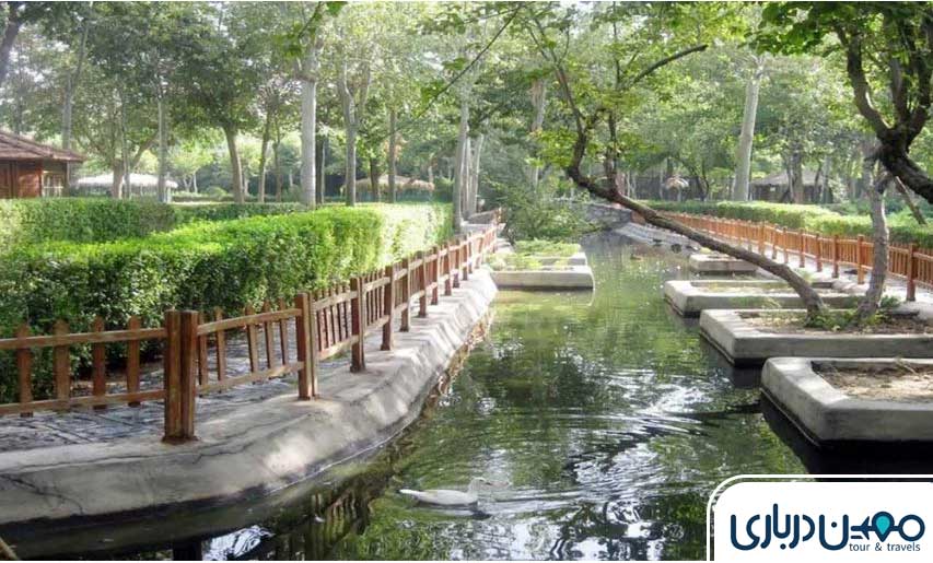 شاندیز مشهد 